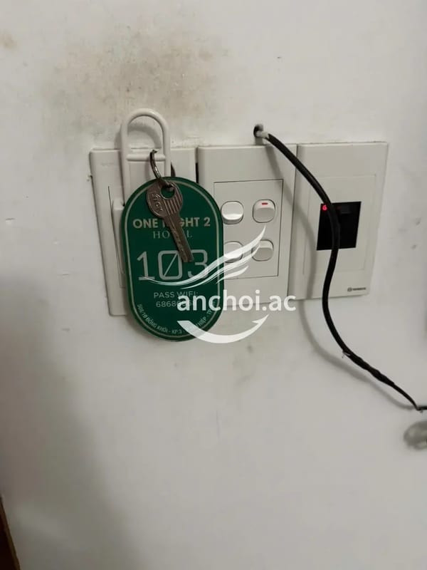 Ngon bổ rẽ , face xinh chịch e sướng tê cu — ảnh 3